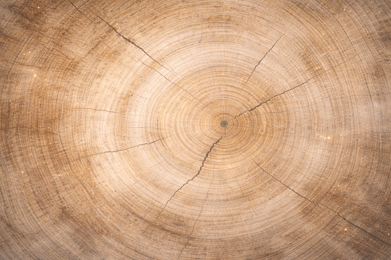 Ilustración sobre el trauma corporal