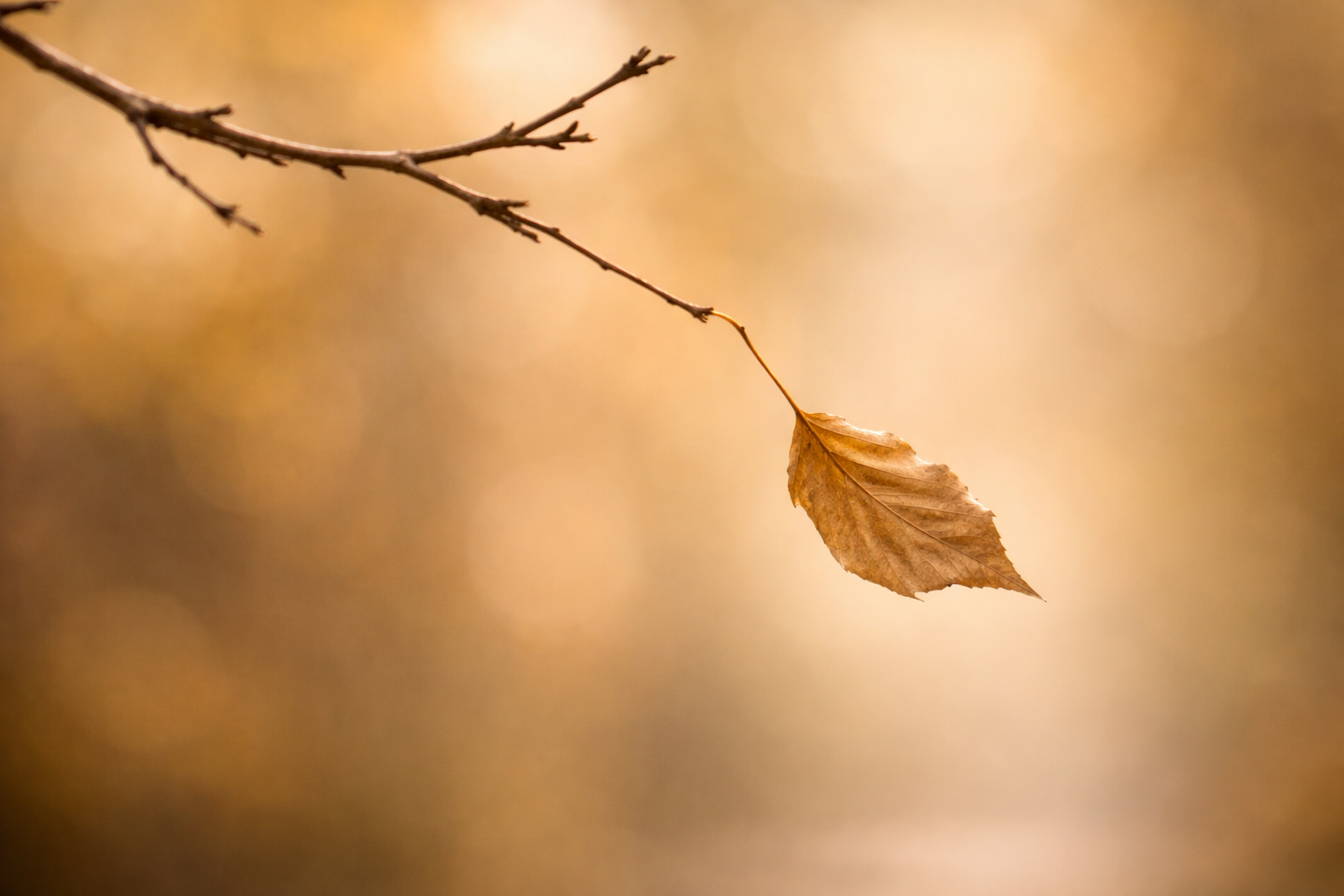 Ilustración sobre querer irse y quedarse